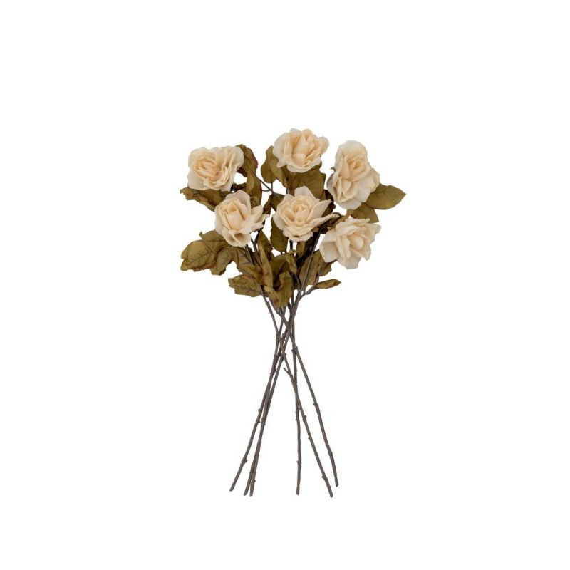 Endon Dried Rose Stem (6pk) Ivory 560mm - ED-5059413394683