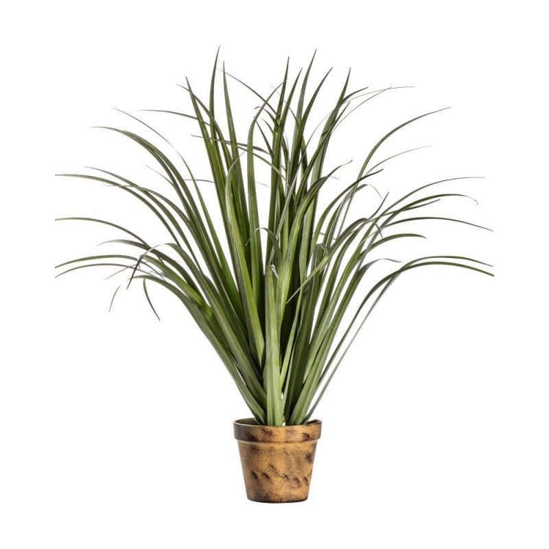 Endon Potted Dracaena Silver Green 550mm - ED-505941339906...