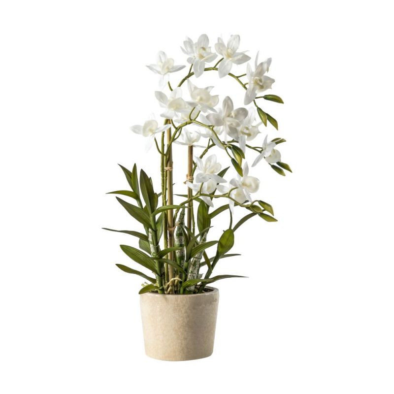 Endon Orchid Cycnoches 300x260x560mm - ED-5059413399114