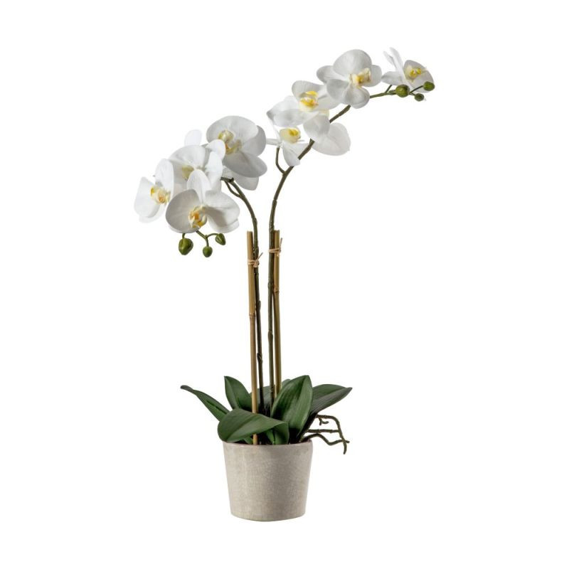 Endon Orchid White w/Ceramic Pot 300x220x500mm - ED-505941...