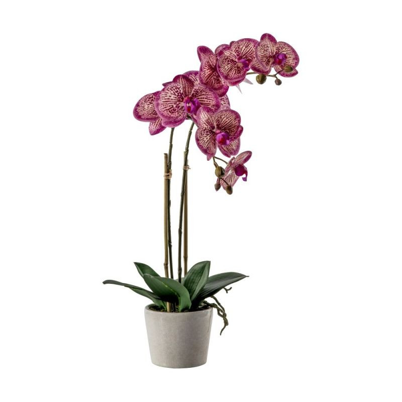 Endon Orchid Pink w/Ceramic Pot 300x220x500mm - ED-5059413...