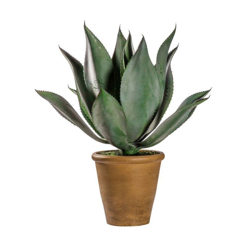 Endon Aloe Wide Leaf 560x560x560mm - ED-5059413399268