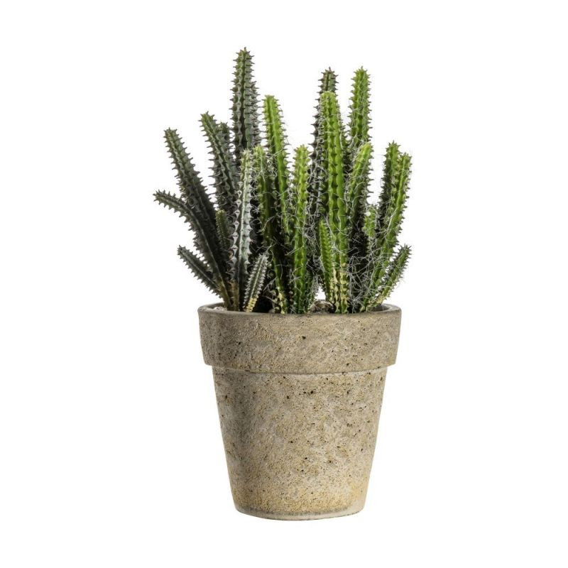 Endon Cactus Cereus w/ Cement Pot Small 140x140x270mm - ED...