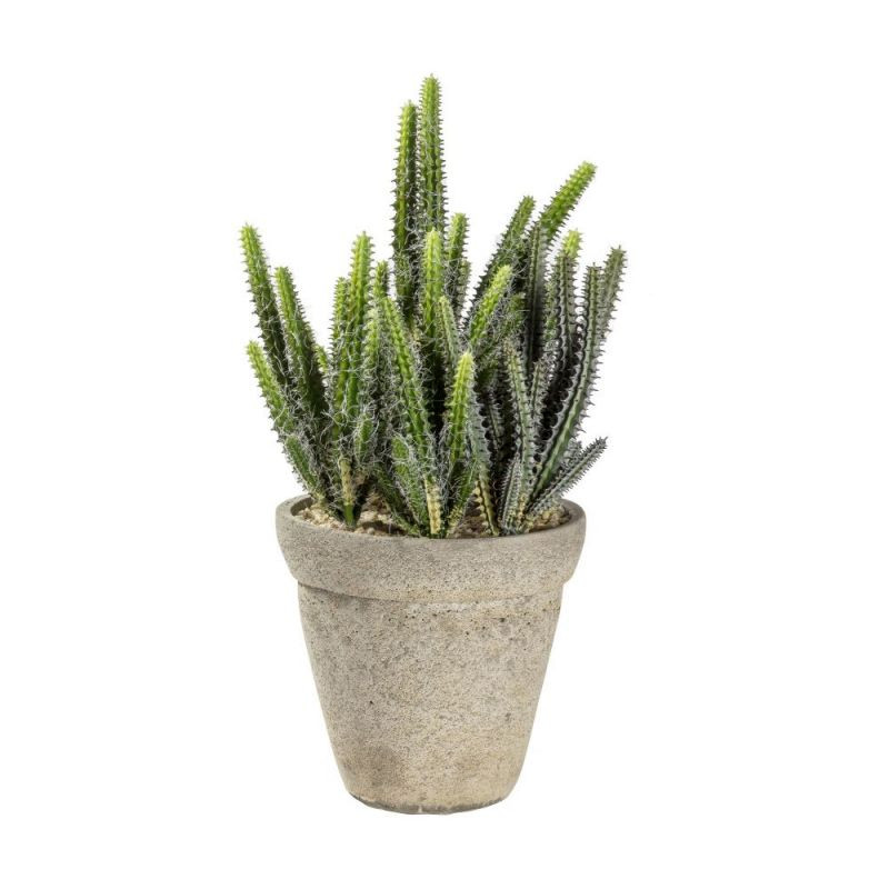 Endon Cactus Cereus w/ Cement Pot Large 200x200x360mm - ED...