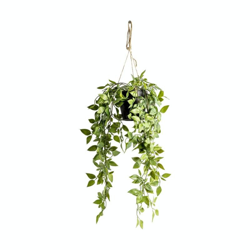 Endon Hanging Scindapsus Small 180x180x480mm - ED-50594133...
