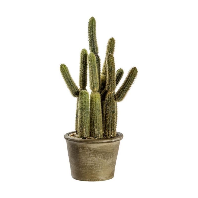 Endon Cactus Carnegiea Small 150x150x290mm - ED-5059413399...