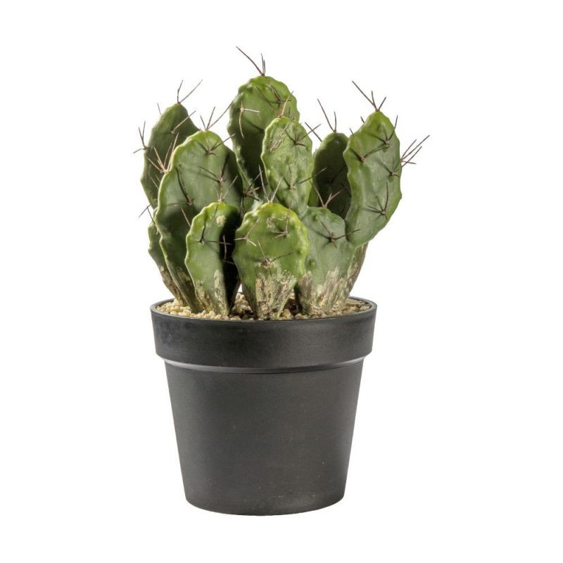 Endon Cactus Optunia 220x200x400mm - ED-5059413399633