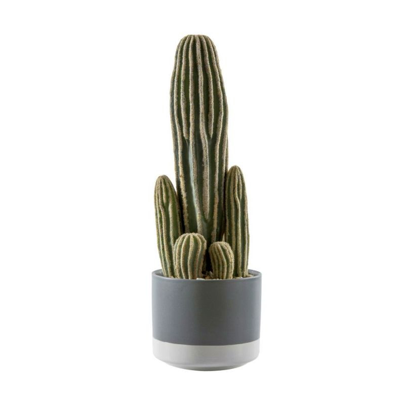 Endon Cactus San Pedro w/ Ceramic Pot 130x130x360mm - ED-5...