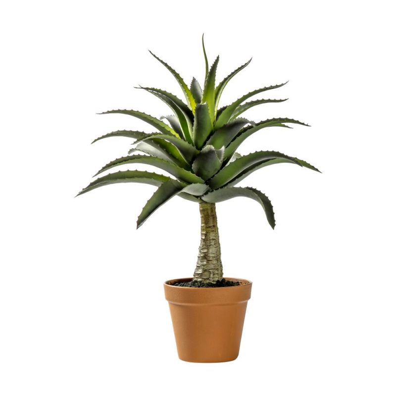 Endon Potted Agave 430x430x570mm - ED-5059413399671