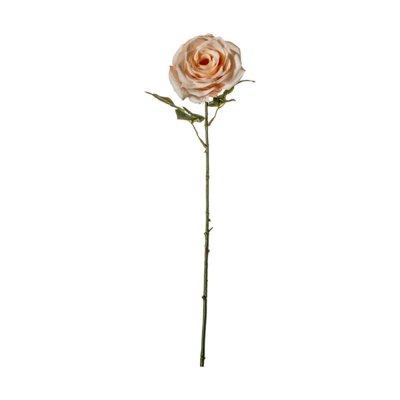 Endon Rose Stem White/Apricot (3pk) 660mm - ED-50594134000...