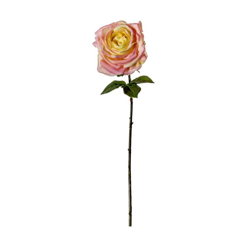 Endon Rose Stem Ivory/Pink (3pk) 660mm - ED-5059413400094