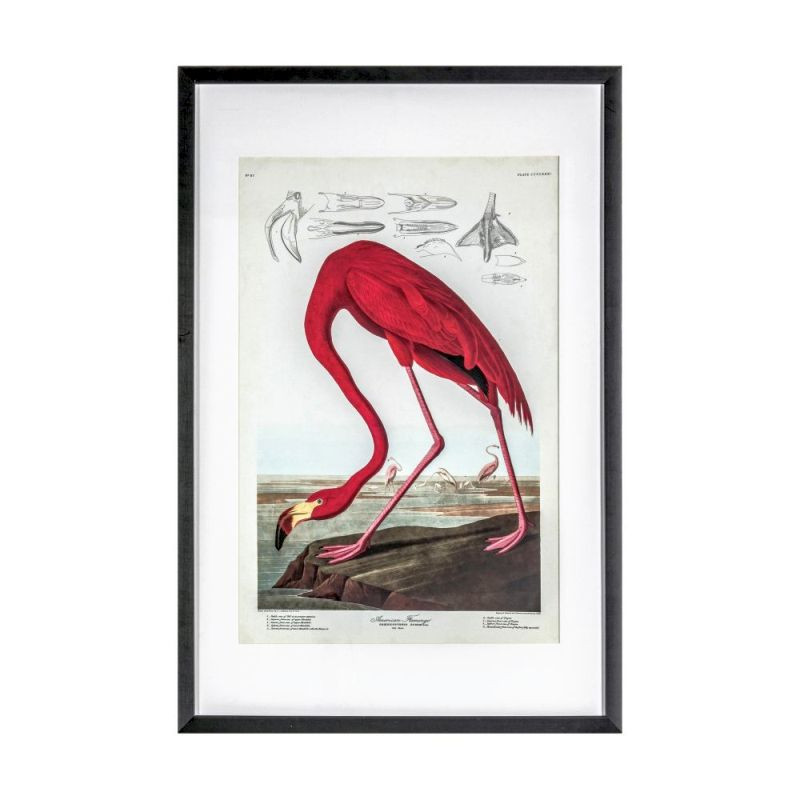 Endon Curious Flamingo Framed Art - ED-5059413411885