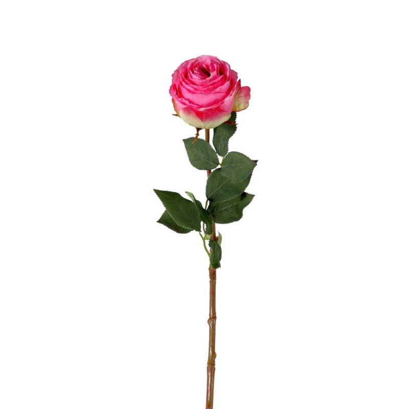 Endon Rose Stem Pink (6pk) 770mm - ED-5059413682926