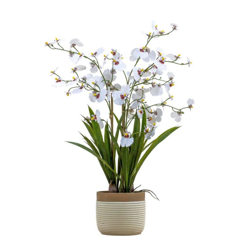 Endon Potted Oncidium Orchid (real touch) White H710mm - E...