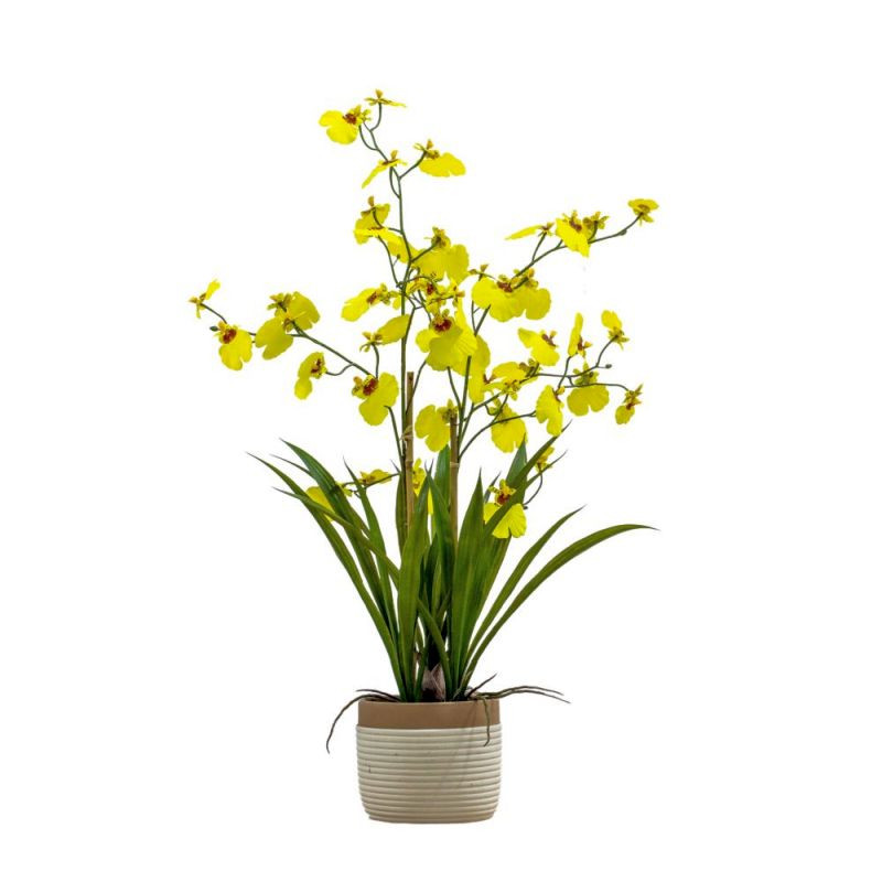 Endon Potted Oncidium Orchid (real touch) Yellow H640mm - ...