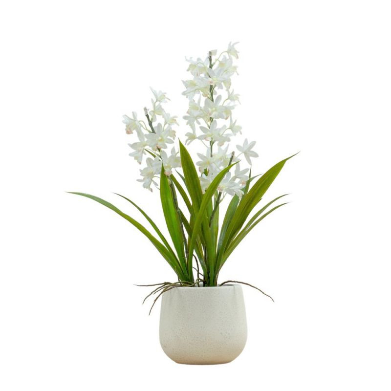 Endon Potted Cymbidium Orchid (real touch) White H610mm - ...