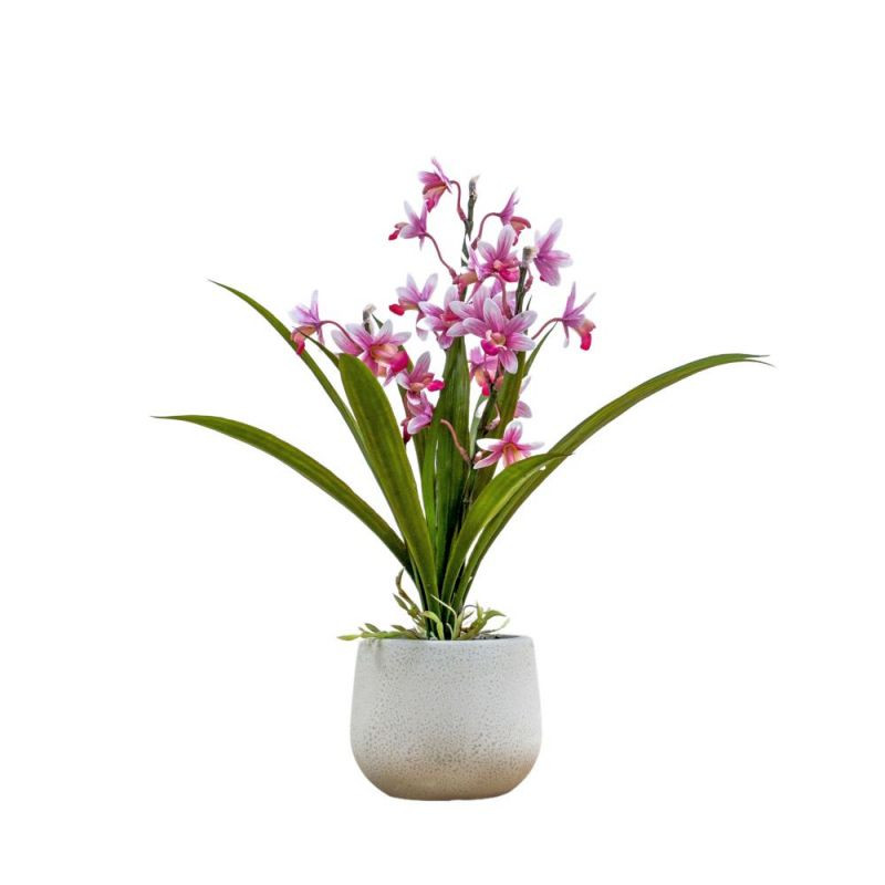 Endon Potted Cymbidium Orchid (real touch) Pink H410mm - E...