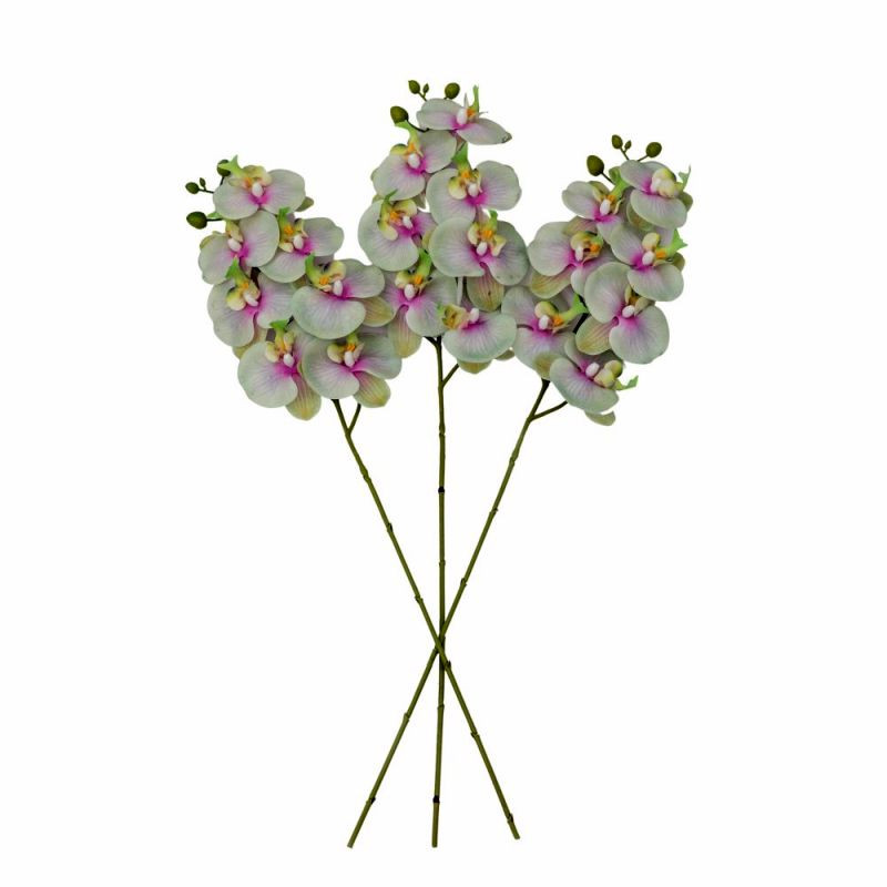 Endon Phalaenopsis Orchid (real Touch) (3pk) Green 860mm -...