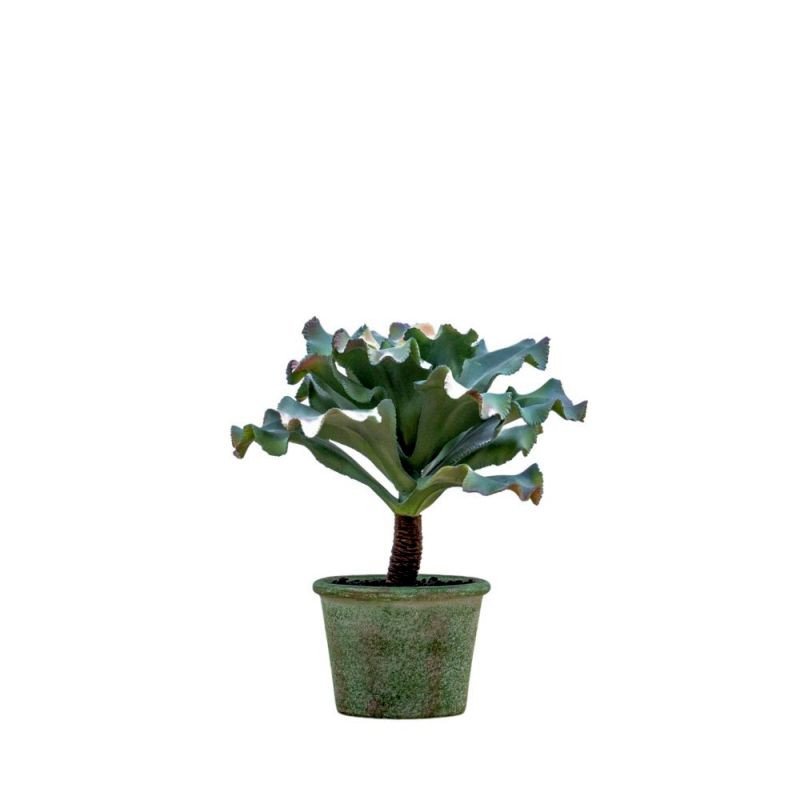 Endon Potted Echeveria Pink Green H220mm - ED-505941369434...