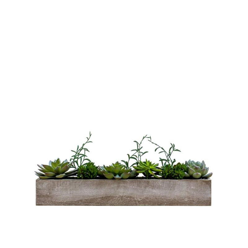Endon Potted Succulent Garden Grey Green H150mm - ED-50594...