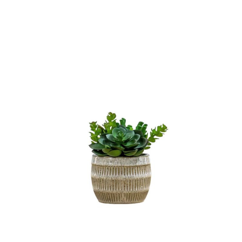 Endon Potted Succulents Ceramic Pot Green Brown H140mm - E...