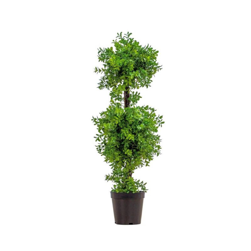 Endon Potted Buxus Ball Tree Green 300x300x700mm - ED-5059...