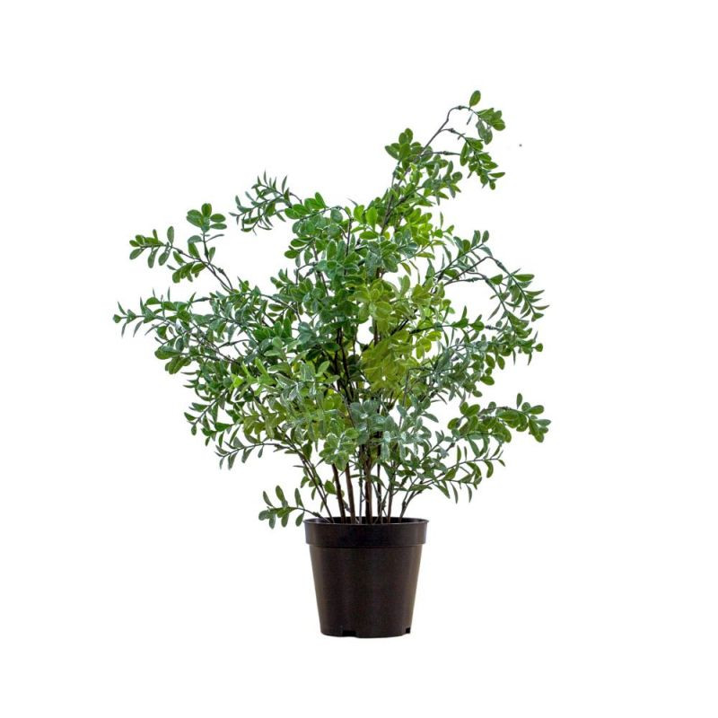 Endon Potted Buxus Tree Green 400x400x600mm - ED-505941369...