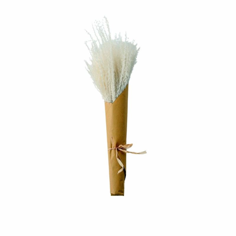 Endon Dried Reed Grass Bundle Paper Wrap White H560mm - ED...