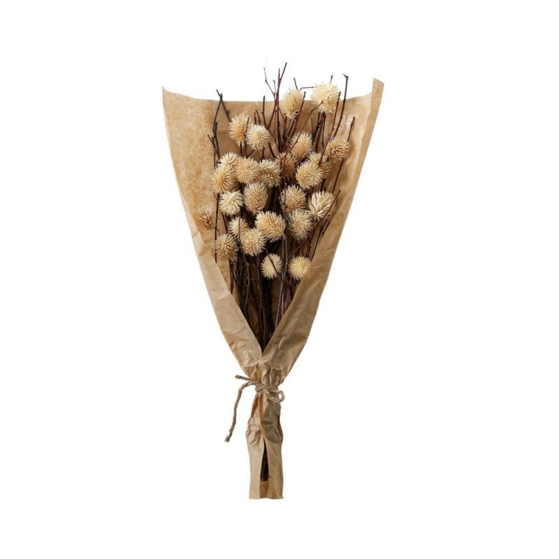 Endon Dried Thistle Bundle in Paper Wrap Natural H540mm - ...