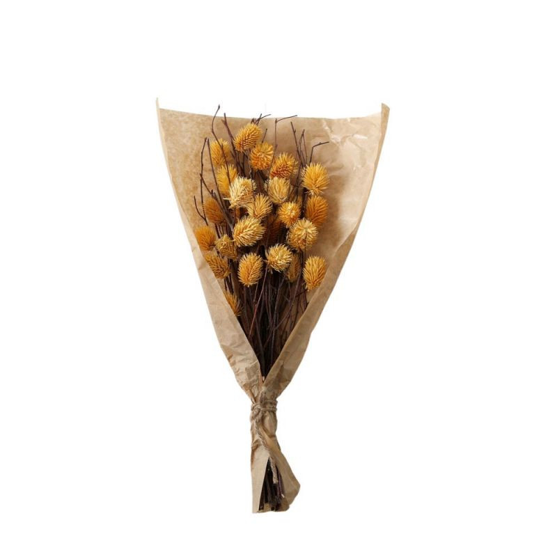 Endon Dried Thistle Bundle in Paper Wrap Ochre H540mm - ED...