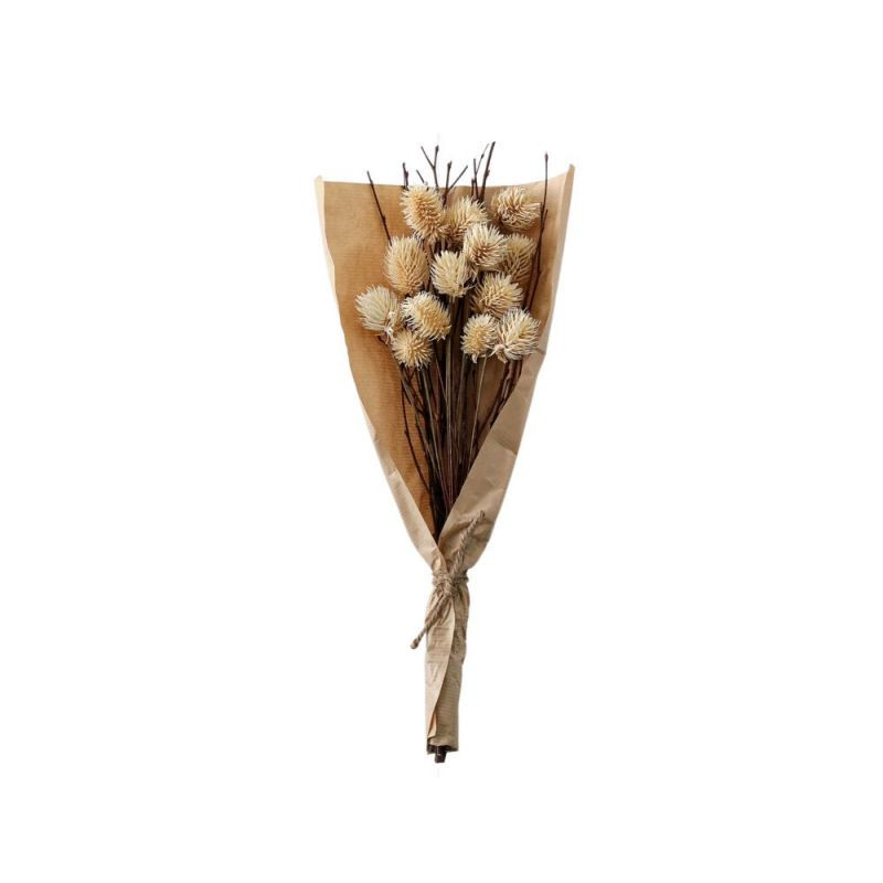 Endon Dried Thistle Bundle in Paper Wrap Natural H460mm - ...