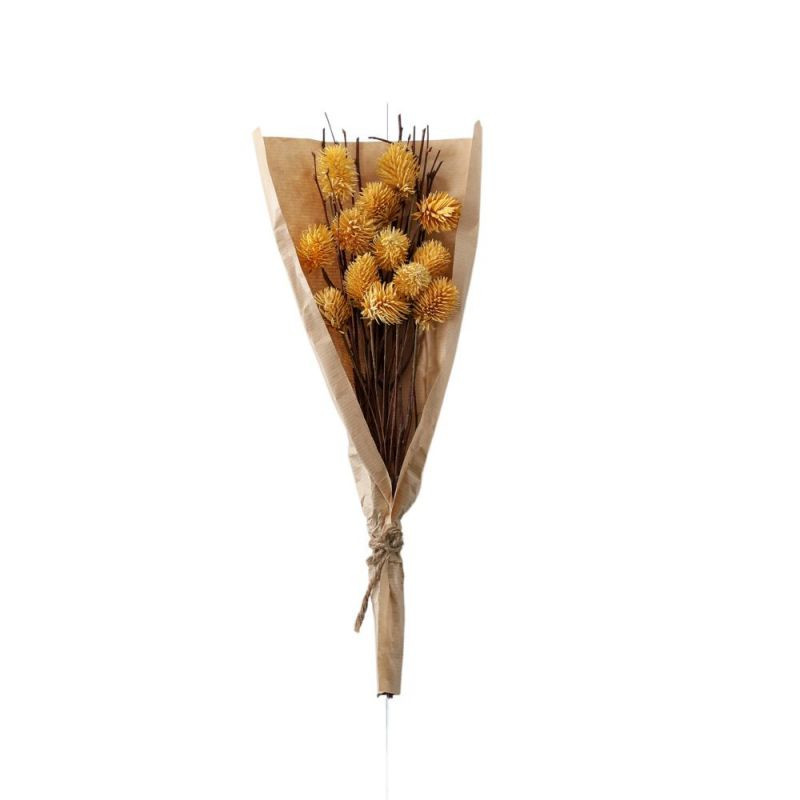 Endon Dried Thistle Bundle in Paper Wrap Ochre H460mm - ED...