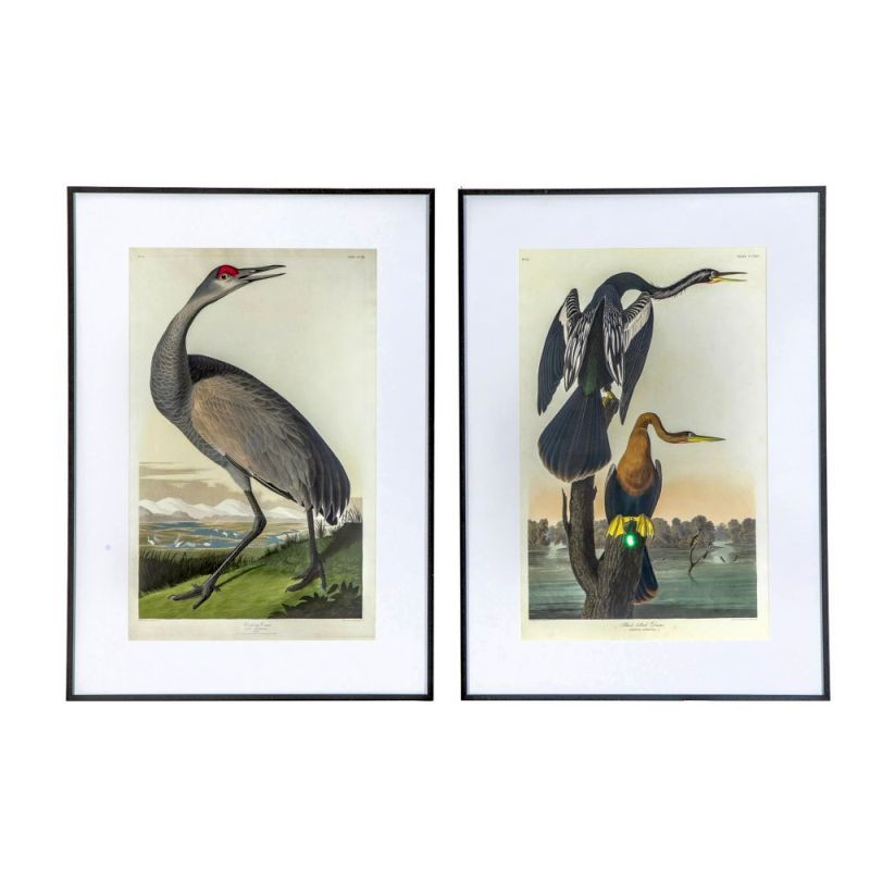 Endon Exotic Fowl Study Framed Art Set of 2 - ED-505941370...