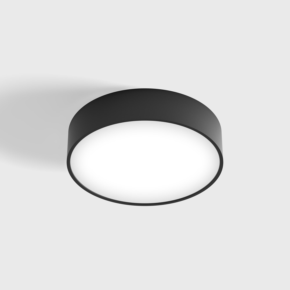 Surface mounted luminaire DISK S, D260mm, H60mm, EDISON SM...