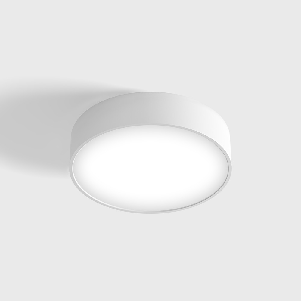 Surface mounted luminaire DISK S, D260mm, H60mm, EDISON SM...