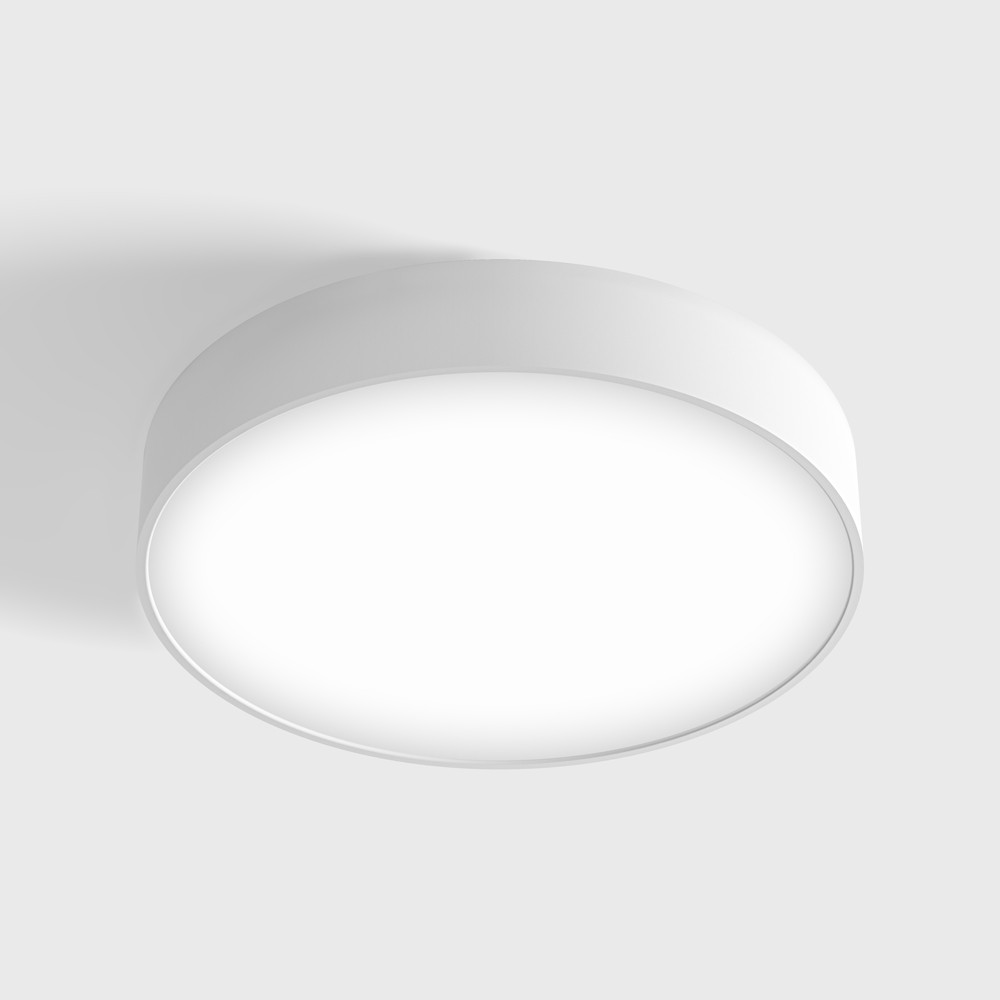 Surface mounted luminaire DISK M, D350mm, H60mm, EDISON SM...