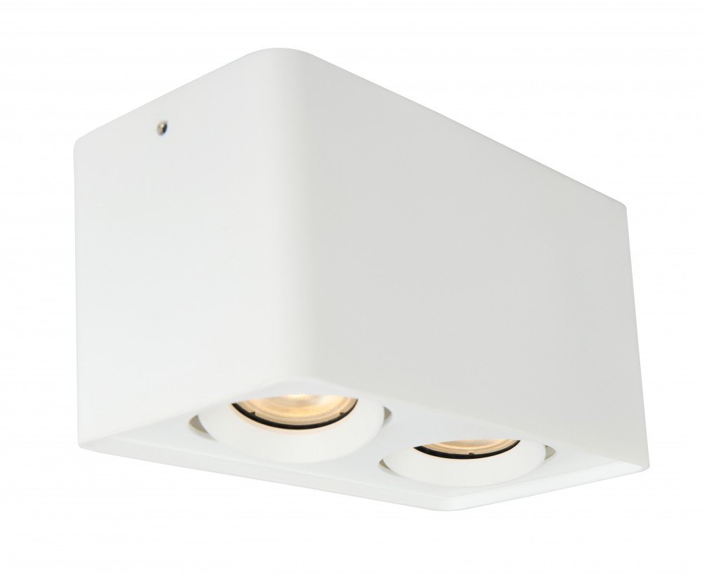 VIOKEF 2/L Ceiling Lamp White Arion - VIO-4279900